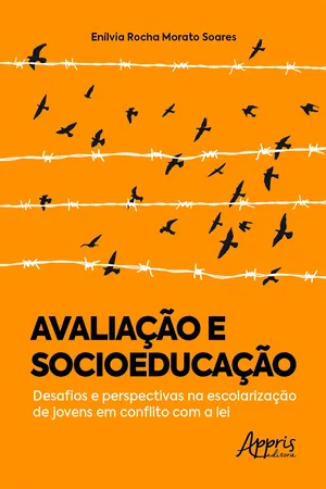 Avaliação e Socioeducação: Desafios e Perspectivas na Escolarização de Jovens em Conflito com a Lei