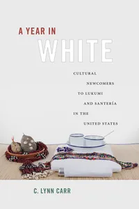 A Year in White_cover