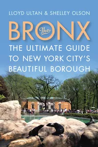 The Bronx_cover