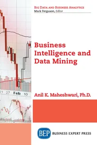 Business Intelligence and Data Mining_cover
