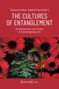The Cultures of Entanglement_cover