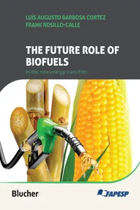 The future role of biofuels in the new energy transition_cover