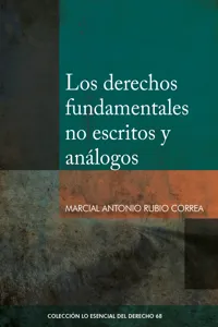 Los derechos fundamentales no escritos y análogos_cover