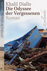 Die Odyssee der Vergessenen_cover