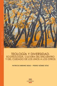 Teología y diversidad_cover