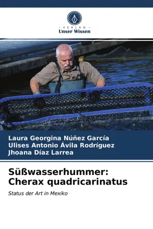 Süßwasserhummer: Cherax quadricarinatus