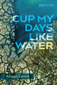 Cup My Days Like Water_cover