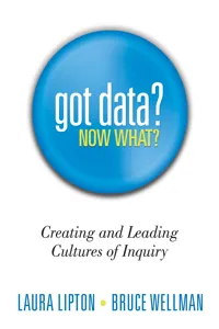 Got Data? Now What?_cover