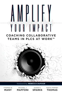 Amplify Your Impact_cover
