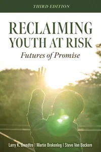 Reclaiming Youth at Risk_cover
