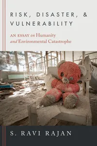 Risk, Disaster, and Vulnerability_cover