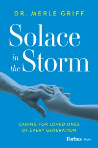 Solace in the Storm_cover