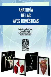 Anatomía de las aves domésticas_cover