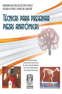 Técnicas para preservar piezas anatómicas_cover