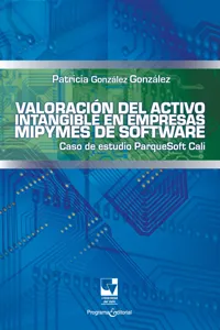 Valoración del activo intangible en empresas mipymes de software_cover