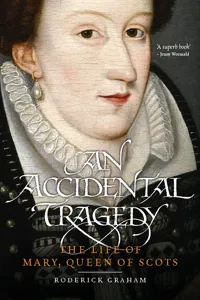 An Accidental Tragedy_cover