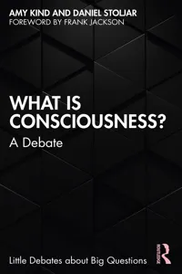 What is Consciousness?_cover