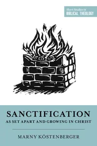 Sanctification as Set Apart and Growing in Christ_cover