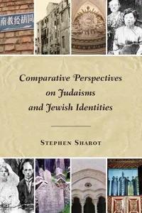 Comparative Perspectives on Judaisms and Jewish Identities_cover