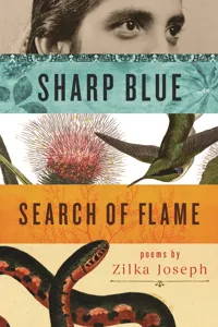 Sharp Blue Search of Flame_cover