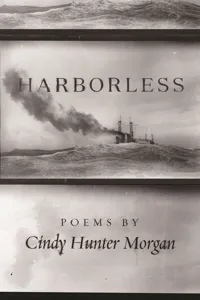 Harborless_cover