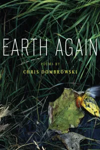 Earth Again_cover