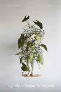 A Guide to Tongue Tie Surgery_cover