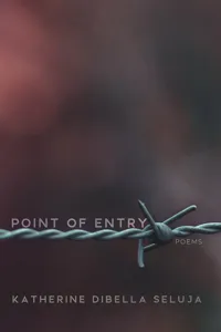 Point of Entry_cover