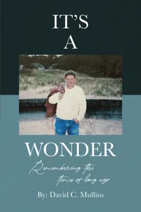 It's a Wonder_cover