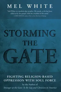 Storming the Gate_cover