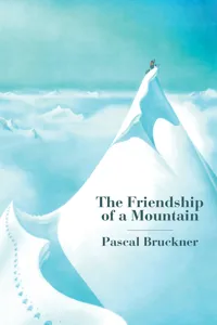 The Friendship of a Mountain_cover