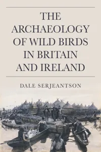 The Archaeology of Wild Birds in Britain and Ireland_cover