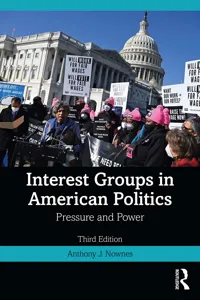 Interest Groups in American Politics_cover