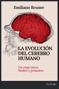 La evolución del cerebro humano_cover