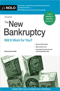 New Bankruptcy, The_cover
