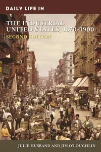 Daily Life in the Industrial United States, 1870-1900_cover