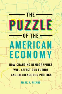 The Puzzle of the American Economy_cover
