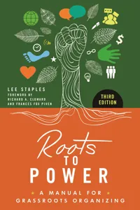 Roots to Power_cover