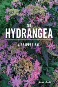 The Hydrangea_cover