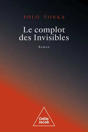 Le Complot des Invisibles