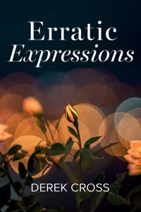 Erratic Expressions_cover