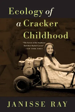 Ecology of a Cracker Childhood