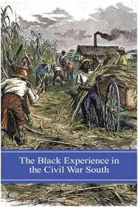 The Black Experience in the Civil War South_cover