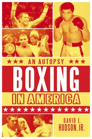 Boxing in America