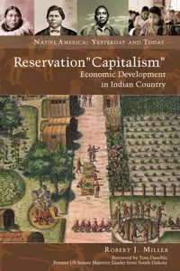 Reservation "Capitalism"_cover