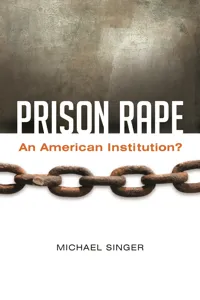 Prison Rape_cover