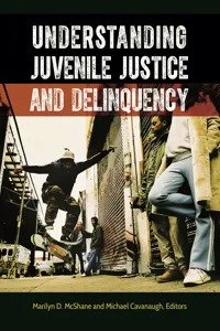 Understanding Juvenile Justice and Delinquency_cover