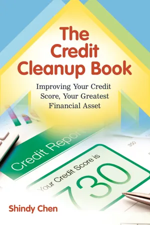 The Credit Cleanup Book