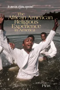 The African American Religious Experience in America_cover