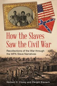 How the Slaves Saw the Civil War_cover